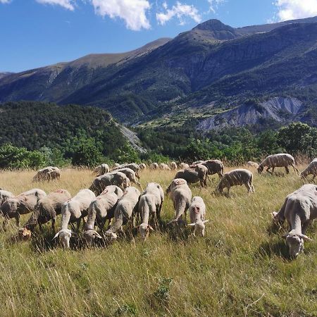 La Peyregoune, Logement En Pleine Nature Et Table D'Hotes Blieux Kültér fotó