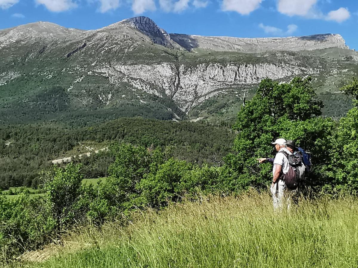 La Peyregoune, Logement En Pleine Nature Et Table D'Hotes Blieux Kültér fotó