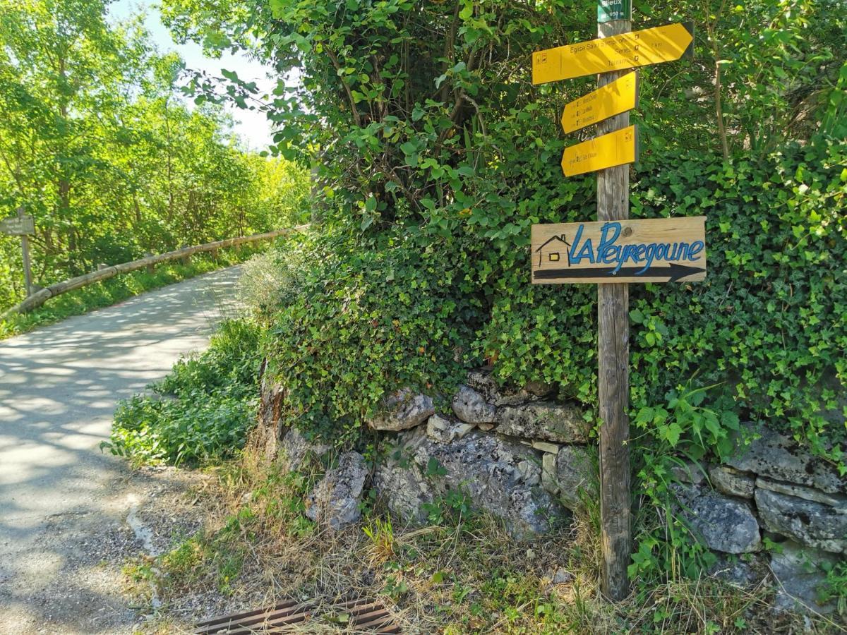 La Peyregoune, Logement En Pleine Nature Et Table D'Hotes Blieux Kültér fotó