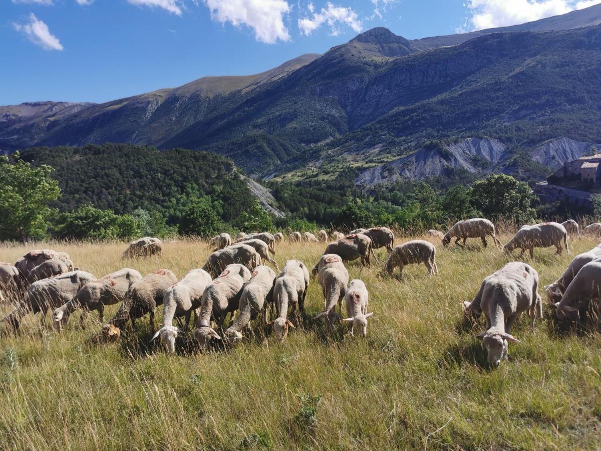 La Peyregoune, Logement En Pleine Nature Et Table D'Hotes Blieux Kültér fotó